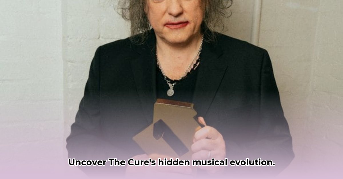 hit-van-the-cure